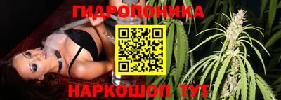 ГАЛЛЮЦИНОГЕННЫЕ ГРИБЫ Абакан