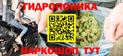 ГАЛЛЮЦИНОГЕННЫЕ ГРИБЫ Абакан
