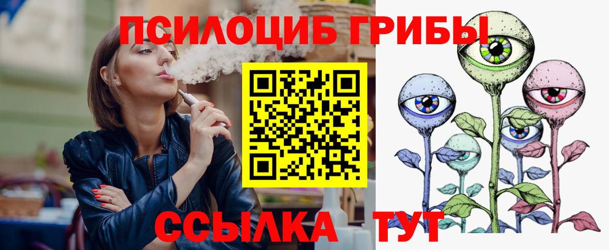 Псилоцибиновые грибы Psilocybe Амурск