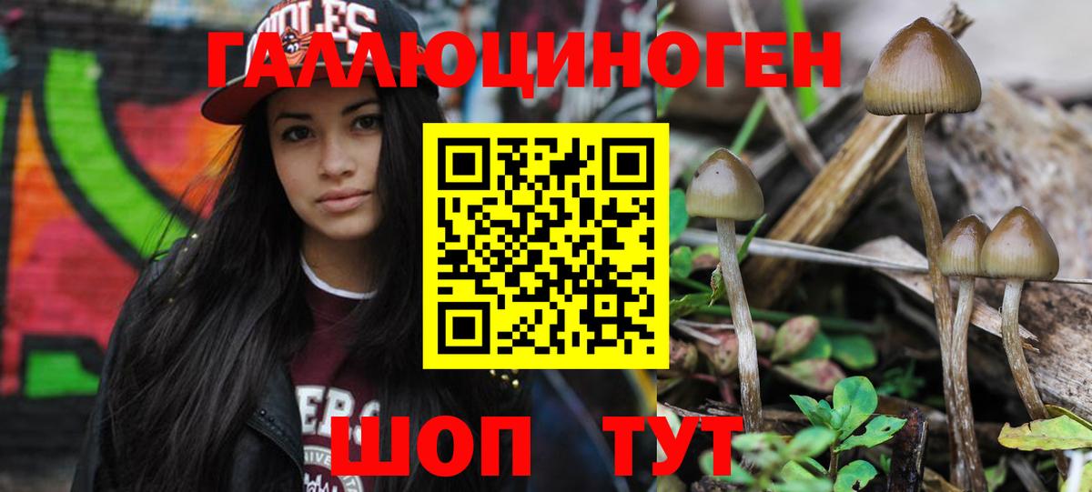 Псилоцибиновые грибы MAGIC MUSHROOMS  Вход с VPN  Амурск 